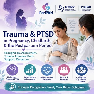 Understanding Trauma and PTSD in the Perinatal Population - Year 1 Banner